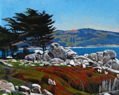 pebble beach with rocks and red fkowers